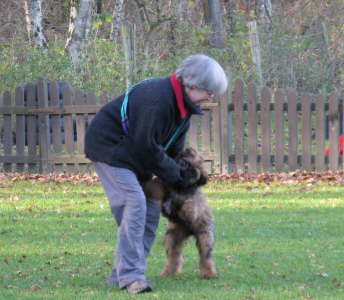 Briard Zucht L�beck