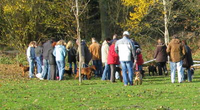 Briard Zucht L�beck