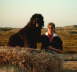 Briard Zucht L�beck, Schleswig-Holstein