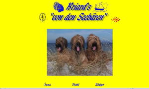 Briard Zucht Lbeck, Schleswig-Holstein